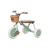 Adam The Tiny Tricycle