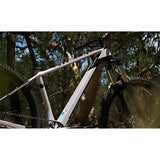 Polygon Syncline C3 Hardtail MTB