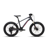 Polygon Xtrada 20 Kids MTB