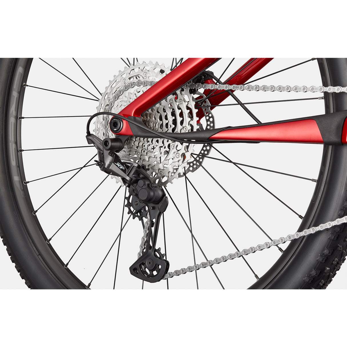 Cannondale Scalpel 4 Full Suspension MTB
