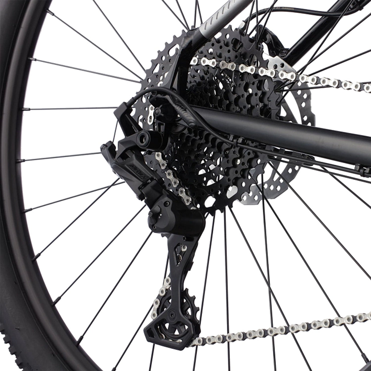 Cannondale Trail 5 29" MTB Large Graphite