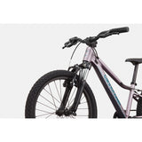 Cannondale Kids Trail 20"