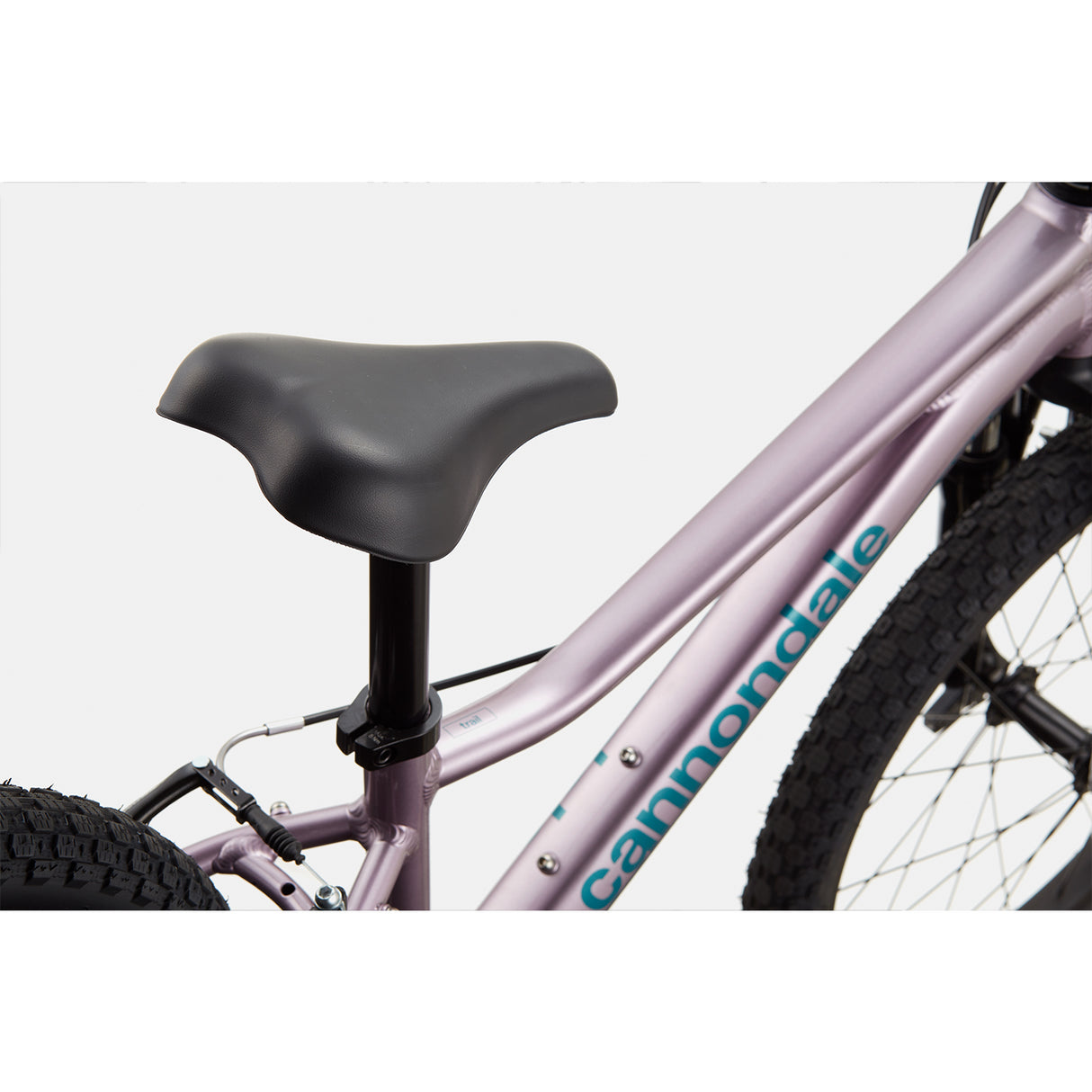 Cannondale Kids Trail 20"
