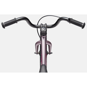 Cannondale Kids Trail 16" Bicycle