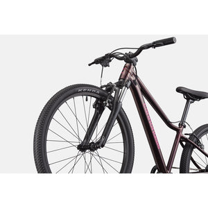 Cannondale Kids Trail 24"