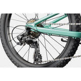 Cannondale Kids Trail 20"