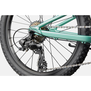 Cannondale Kids Trail 20"