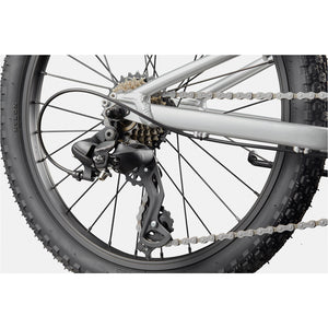Cannondale Kids Trail 20"