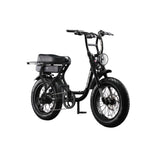 Flight Risk FR303 Electric Bike