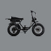 Flight Risk FR303 Electric Bike
