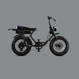 Flight Risk FR303 Electric Bike