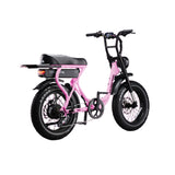 Flight Risk FR303 Electric Bike