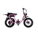 Flight Risk FR303 Electric Bike