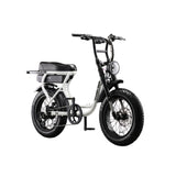 Flight Risk FR303 Electric Bike