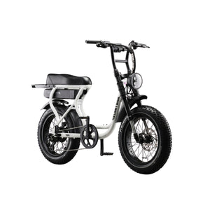 Flight Risk FR303 Electric Bike