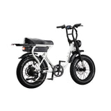 Flight Risk FR303 Electric Bike