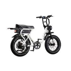 Flight Risk FR303 Electric Bike