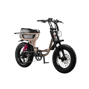 Flight Risk FR333 Electric Bike