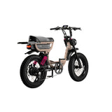 Flight Risk FR333 Electric Bike