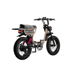 Flight Risk FR333 Electric Bike