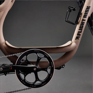 Flight Risk FR333 Electric Bike