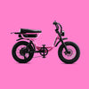 Flight Risk FR333 Electric Bike