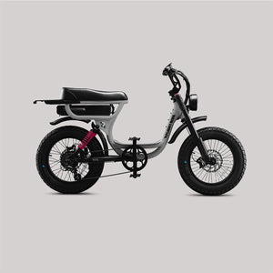 Flight Risk FR333 Electric Bike