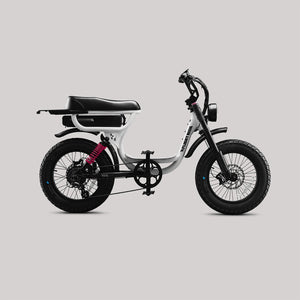 Flight Risk FR333 Electric Bike