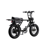 Flight Risk FR505 Electric Bike