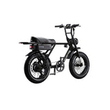 Flight Risk FR505 Electric Bike