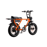 Flight Risk FR505 Electric Bike