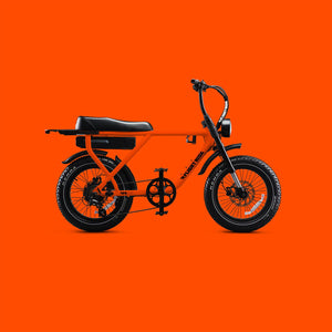 Flight Risk FR505 Electric Bike