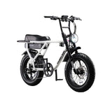 Flight Risk FR505 Electric Bike