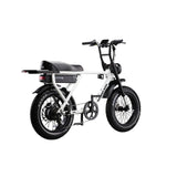 Flight Risk FR505 Electric Bike