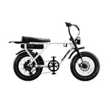 Flight Risk FR505 Electric Bike