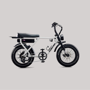 Flight Risk FR505 Electric Bike