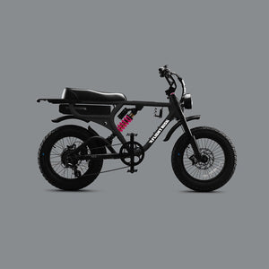 Flight Risk FR555 Electric Bike