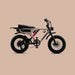Flight Risk FR555 Electric Bike