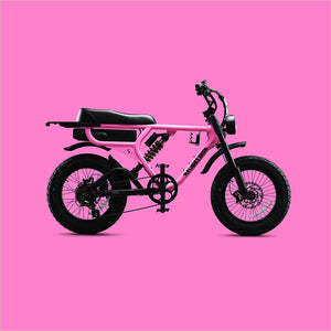 Flight Risk FR555 Electric Bike