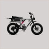 Flight Risk FR555 Electric Bike
