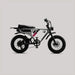Flight Risk FR555 Electric Bike