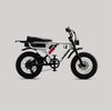Flight Risk FR555 Electric Bike