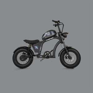 Flight Risk FR606 Kids Electric Bike