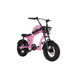 Flight Risk FR606 Kids Electric Bike