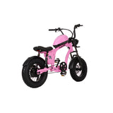 Flight Risk FR606 Kids Electric Bike
