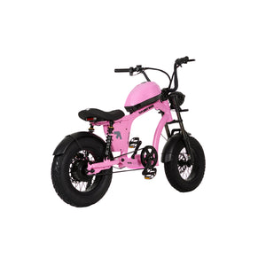 Flight Risk FR606 Kids Electric Bike