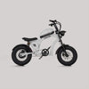Flight Risk FR606 Kids Electric Bike