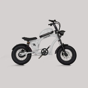 Flight Risk FR606 Kids Electric Bike