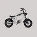 Flight Risk FR606 Kids Electric Bike