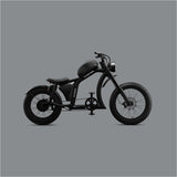Flight Risk FR666 Electric Bike